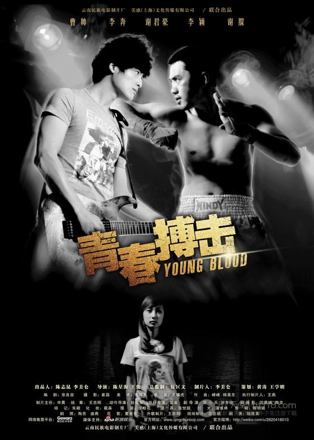 [青春搏击][HD-720P-RMVB][国语中字][豆瓣4.2分][728MB][2012]