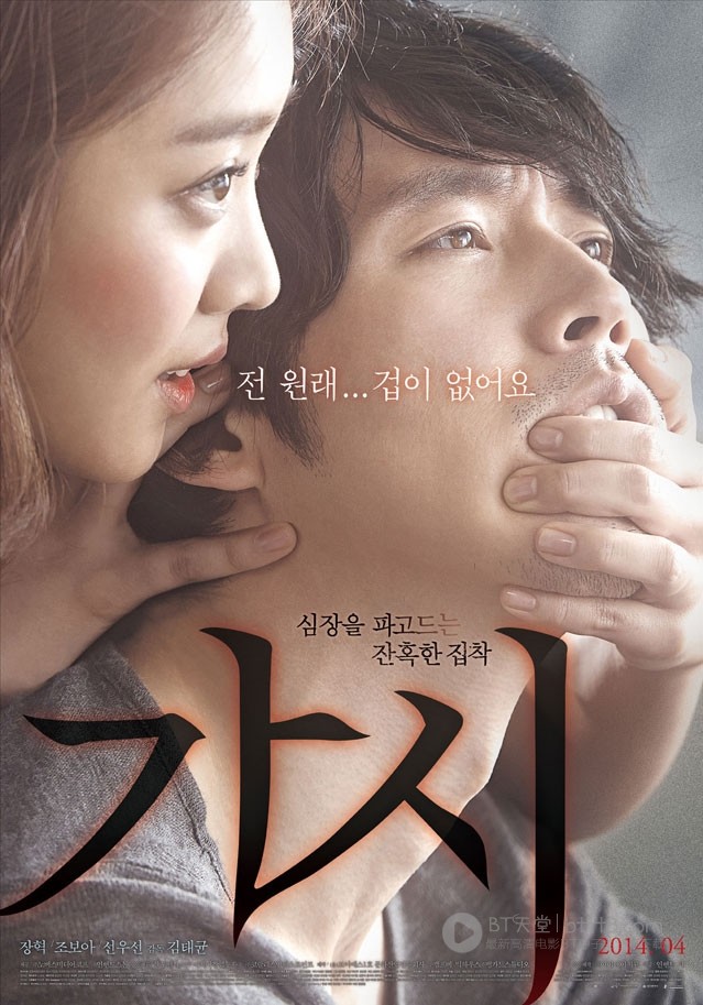 [荆棘][HD-720P-RMVB][韩语中字][豆瓣6.4分][1.2GB][2014]