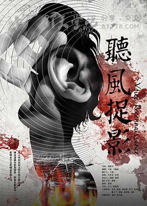 [听风捉影][HD-1080P-MP4][国语中字][2.0GB][2016]