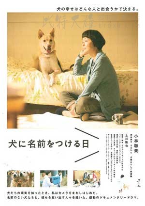 [为你取名的那一天][BD-720P/1080P-MP4][日语中字][豆瓣7.5分][2.2GB/4.5GB][2015]