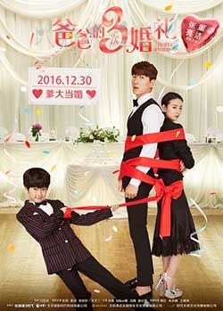 [爸爸的3次婚礼][HD-1080P/2160P-MKV][国语中字][豆瓣2.8分][1.52GB/4.02GB][2016]