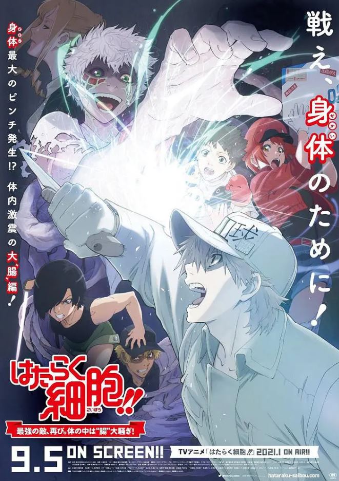 2020年日本6.9分动画片《工作细胞：细胞大作战》BD日语中字