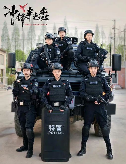 2025年国产大陆电视剧《女巡特警之蜂鸟突击队》全24集