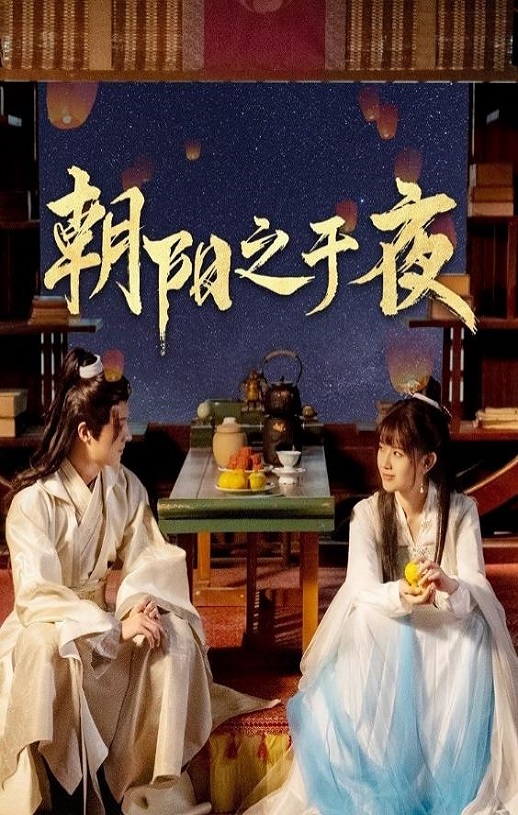 2025年国产大陆电视剧《朝阳之于夜》全24集