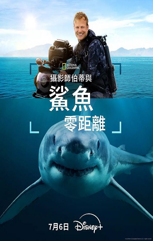 2025年美国纪录片《摄影师贝尔蒂与鲨鱼零距离》HD英语中字